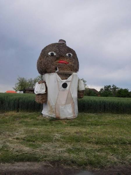 morning picdump 52 pics 14.html - 52 HD Photos | Premium Gallery 2017