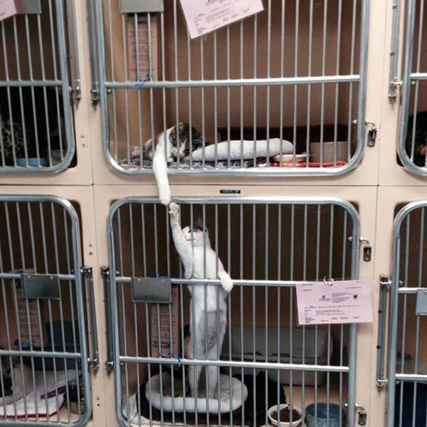 morning picdump 52 pics 14.html - 52 HD Photos | Premium Gallery 2017