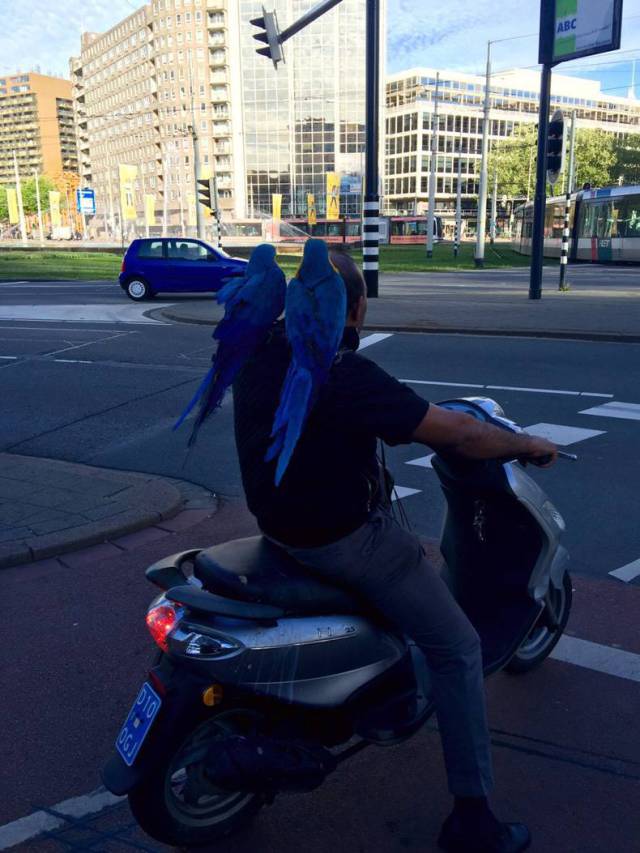 morning picdump 52 pics 14.html - 52 HD Photos | Premium Gallery 2017