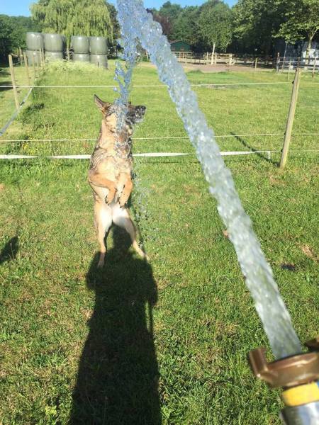 daily picdump 95 pics 29.html - 95 HD Photos | Premium Gallery 2017