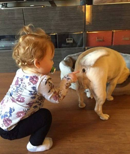 daily picdump 95 pics 29.html - 95 HD Photos | Premium Gallery 2017