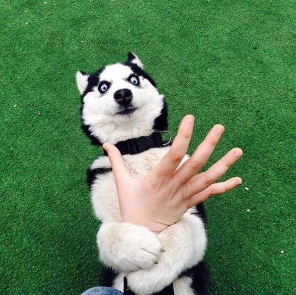 daily picdump 95 pics 29.html - 95 HD Photos | Premium Gallery 2017