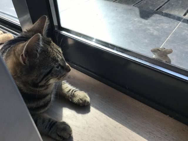 daily picdump 95 pics 29.html - 95 HD Photos | Premium Gallery 2017