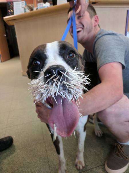 daily picdump 95 pics 29.html - 95 HD Photos | Premium Gallery 2017