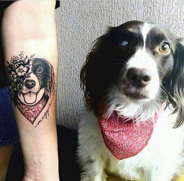 daily picdump 95 pics 29.html - 95 HD Photos | Premium Gallery 2017