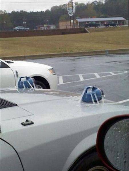 daily picdump 95 pics 29.html - 95 HD Photos | Premium Gallery 2017