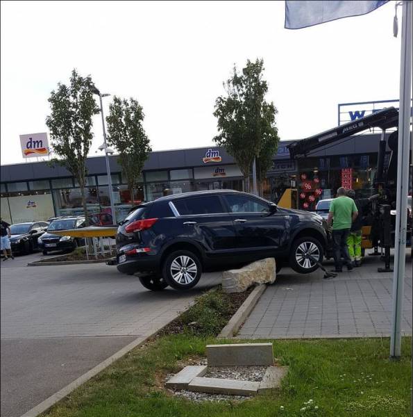 daily picdump 95 pics 29.html - 95 HD Photos | Premium Gallery 2017