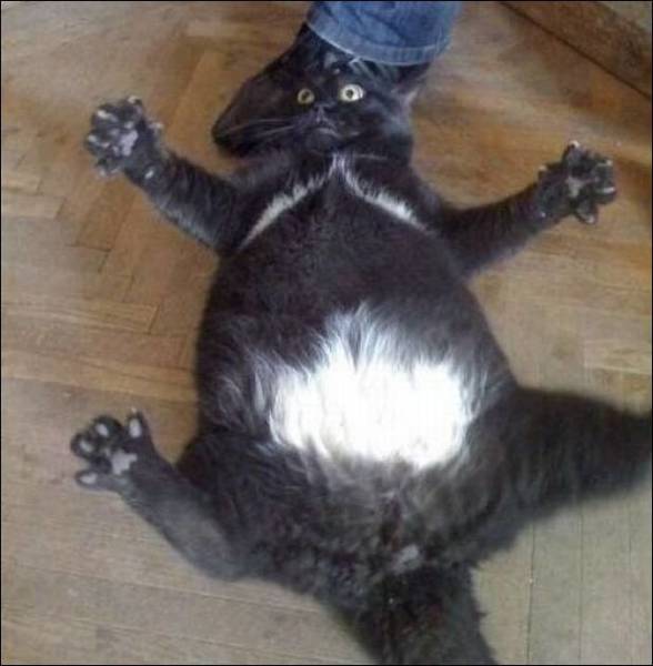 daily picdump 95 pics 29.html - 95 HD Photos | Premium Gallery 2017