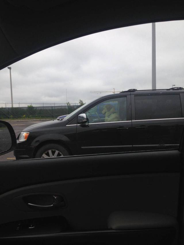 daily picdump 95 pics 29.html - 95 HD Photos | Premium Gallery 2017