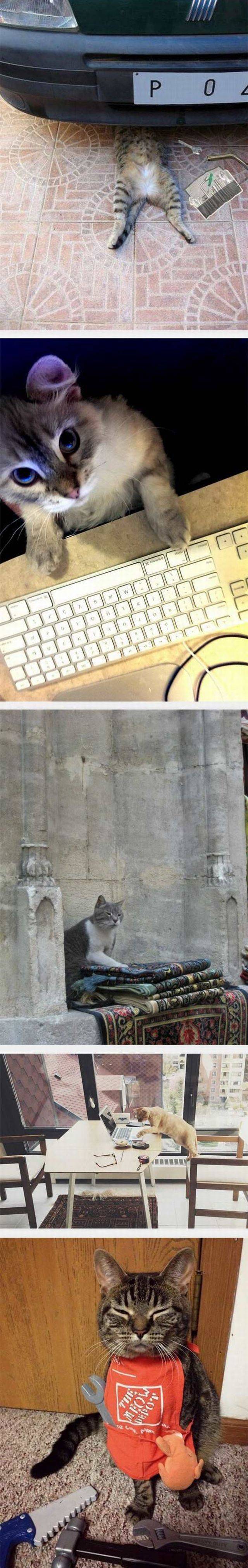 daily picdump 95 pics 29.html - 95 HD Photos | Premium Gallery 2017