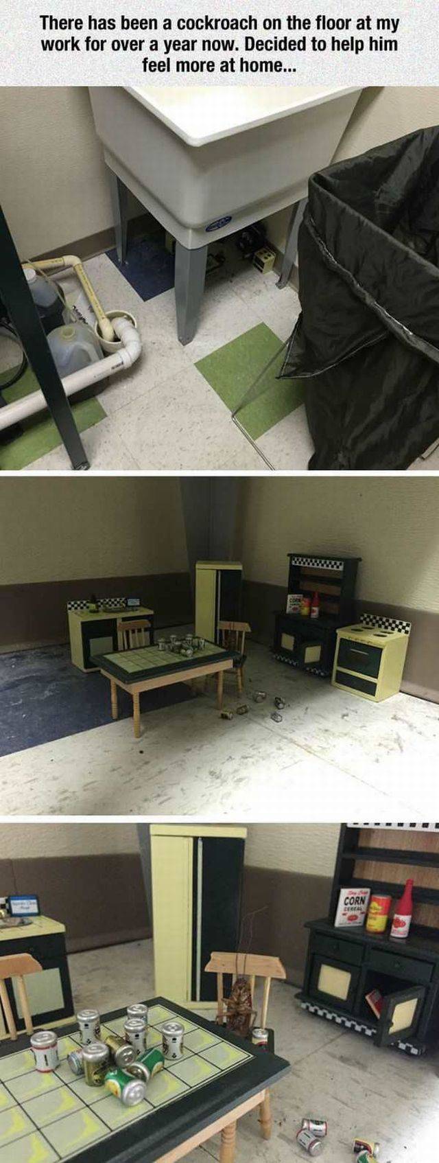 daily picdump 95 pics 29.html - 95 HD Photos | Premium Gallery 2017