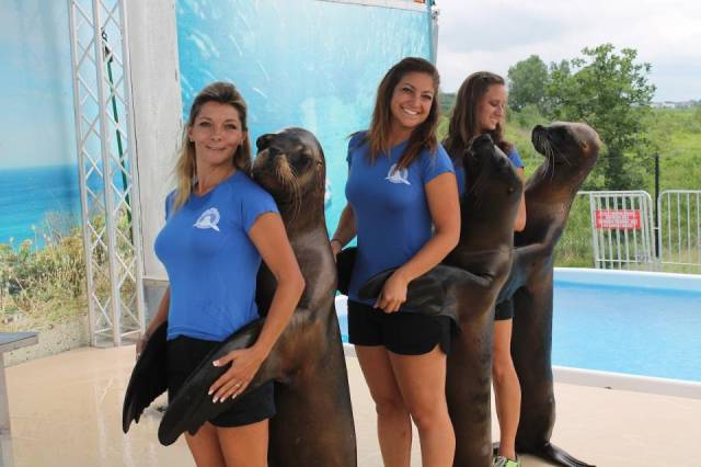 morning picdump 54 pics 9.html - 54 HD Photos | Premium Gallery 2017