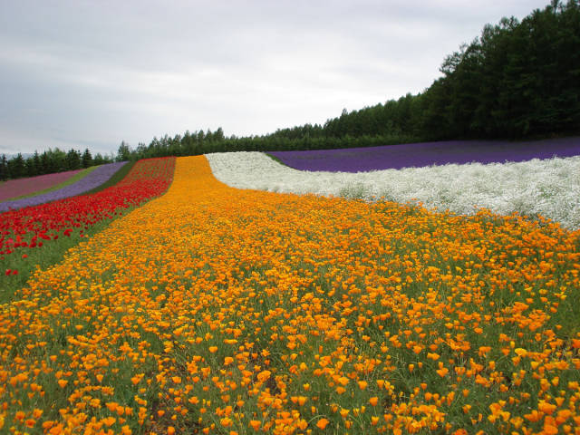 morning picdump 54 pics 9.html - 54 HD Photos | Premium Gallery 2017