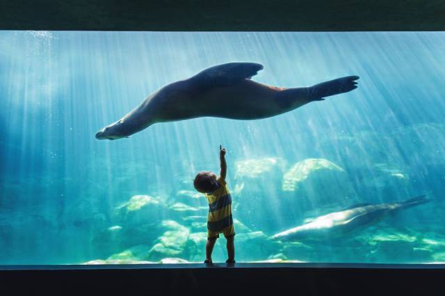 morning picdump 54 pics 9.html - 54 HD Photos | Premium Gallery 2017