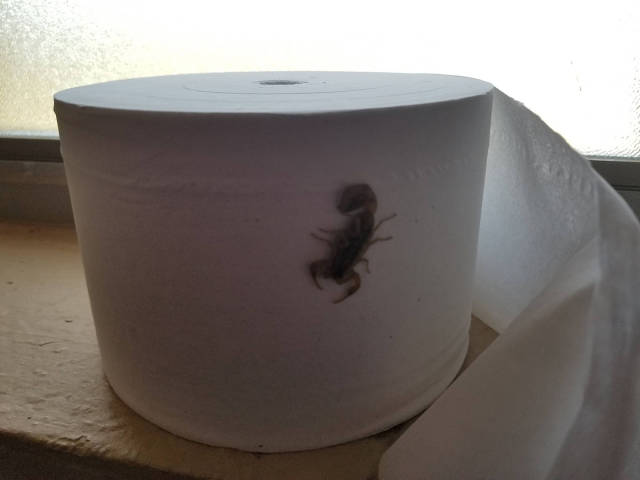 morning picdump 54 pics 9.html - 54 HD Photos | Premium Gallery 2017