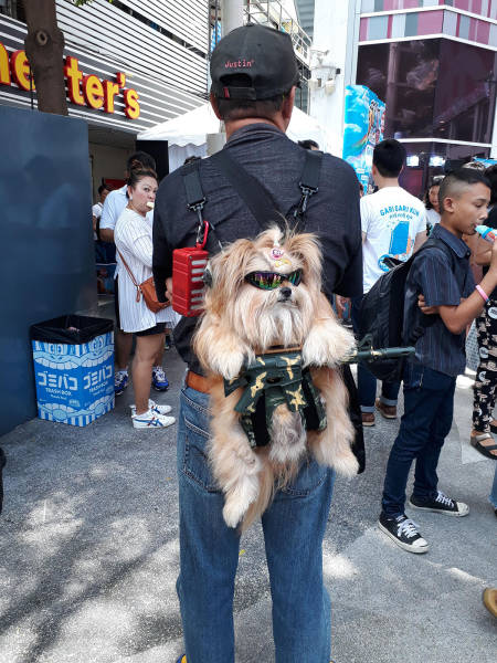 Daily Picdump [WEEKEND EDITION]