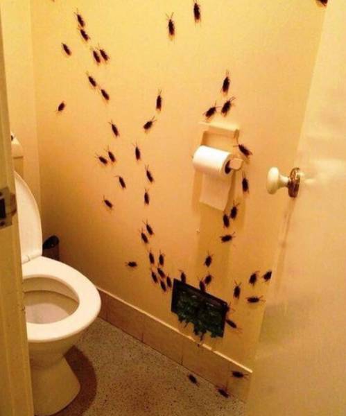 Daily Picdump [WEEKEND EDITION]