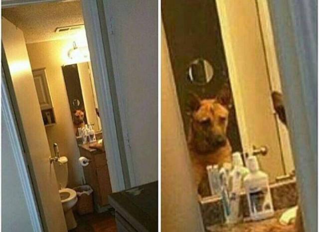 Daily Picdump [WEEKEND EDITION]