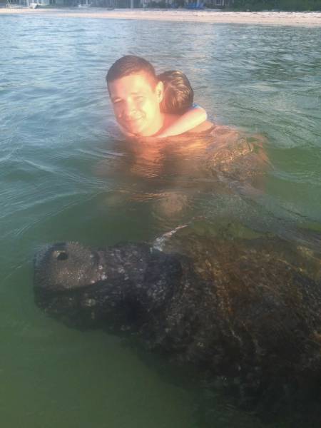 daily picdump weekend edition 53 pics 21.html - 53 HD Photos | Premium Gallery 2017