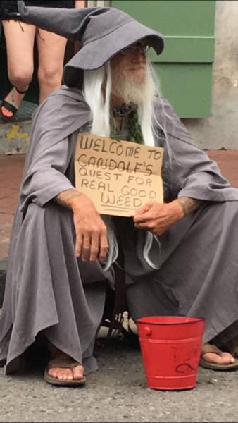 daily picdump weekend edition 53 pics 21.html - 53 HD Photos | Premium Gallery 2017