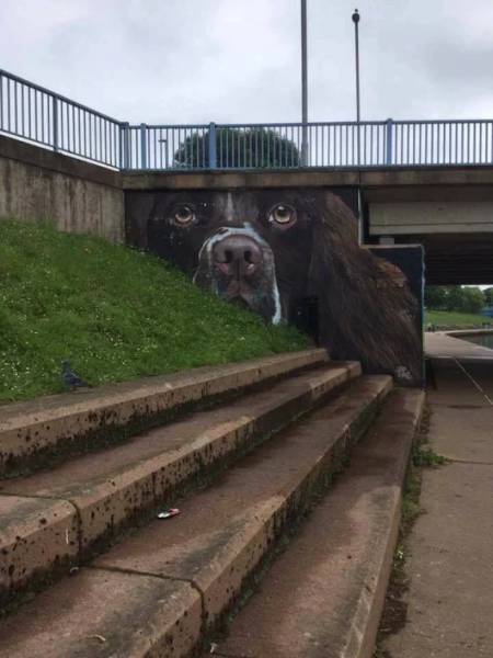 daily picdump weekend edition 53 pics 21.html - 53 HD Photos | Premium Gallery 2017