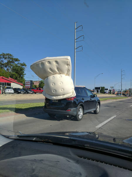 daily picdump weekend edition 53 pics 21.html - 53 HD Photos | Premium Gallery 2017