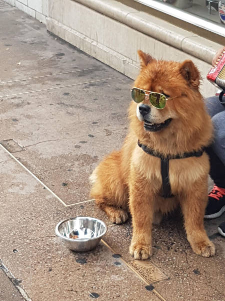 daily picdump weekend edition 53 pics 21.html - 53 HD Photos | Premium Gallery 2017