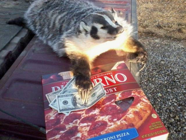 daily picdump 104 pics 41.html - 104 HD Photos | Premium Gallery 2017