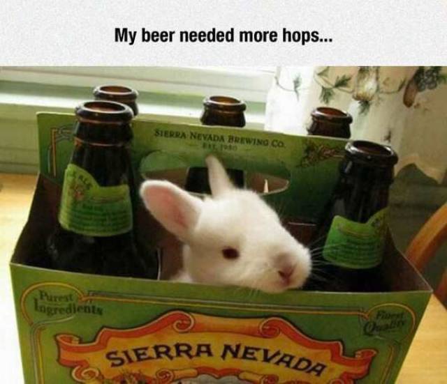 daily picdump 104 pics 41.html - 104 HD Photos | Premium Gallery 2017