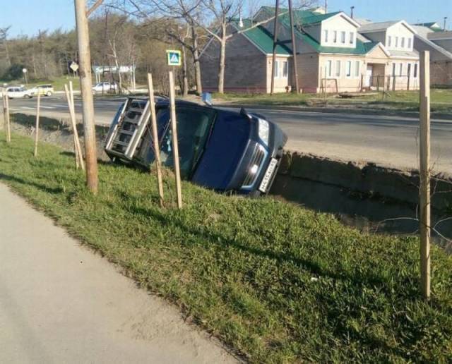 daily picdump 104 pics 41.html - 104 HD Photos | Premium Gallery 2017