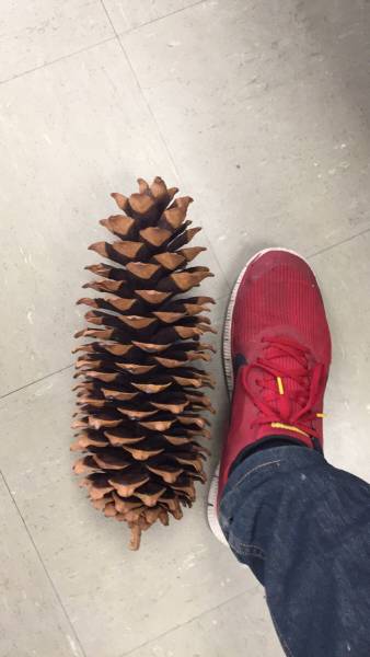 daily picdump 104 pics 41.html - 104 HD Photos | Premium Gallery 2017