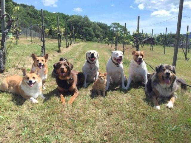 daily picdump 104 pics 41.html - 104 HD Photos | Premium Gallery 2017