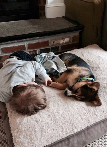 daily picdump 104 pics 41.html - 104 HD Photos | Premium Gallery 2017