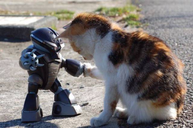 daily picdump 104 pics 41.html - 104 HD Photos | Premium Gallery 2017