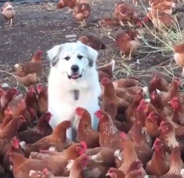 daily picdump 104 pics 41.html - 104 HD Photos | Premium Gallery 2017