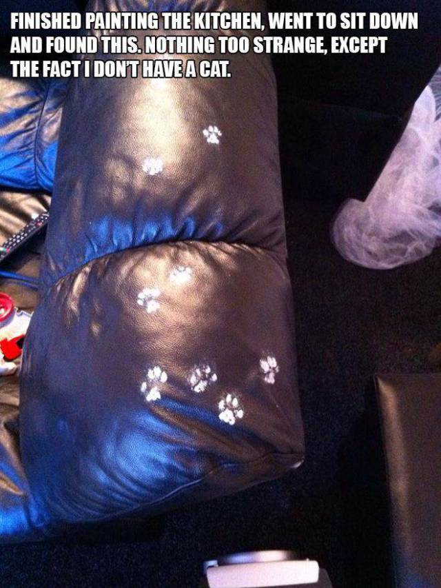 daily picdump 104 pics 41.html - 104 HD Photos | Premium Gallery 2017