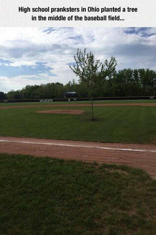 daily picdump 104 pics 41.html - 104 HD Photos | Premium Gallery 2017