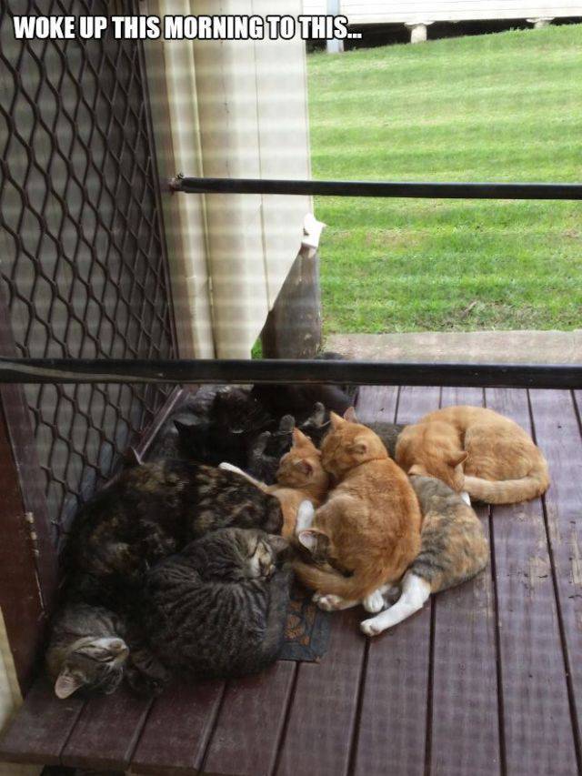 daily picdump 104 pics 41.html - 104 HD Photos | Premium Gallery 2017