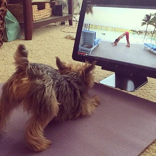 Daily Picdump