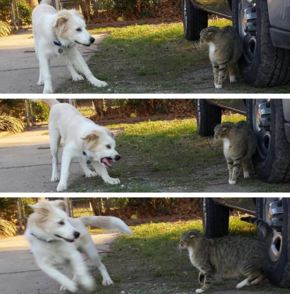 daily picdump 96 pics 10.html - 96 HD Photos | Premium Gallery 2017