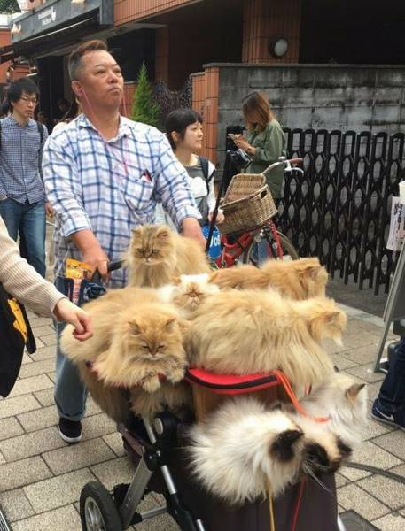 daily picdump 96 pics 10.html - 96 HD Photos | Premium Gallery 2017