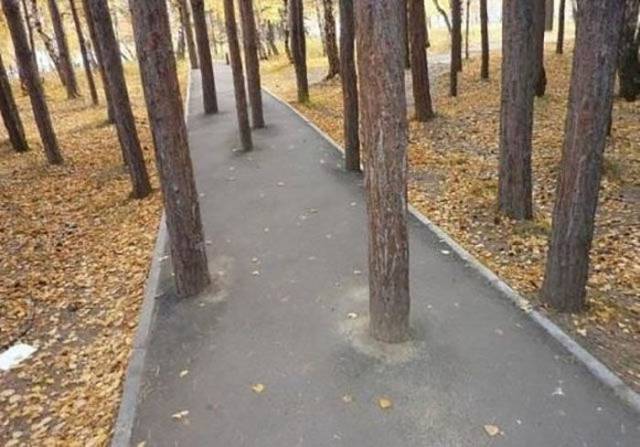 daily picdump 96 pics 10.html - 96 HD Photos | Premium Gallery 2017