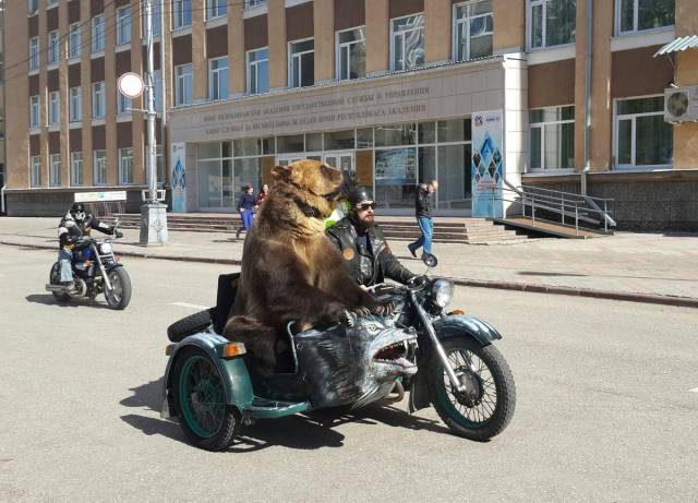 daily picdump 96 pics 10.html - 96 HD Photos | Premium Gallery 2017