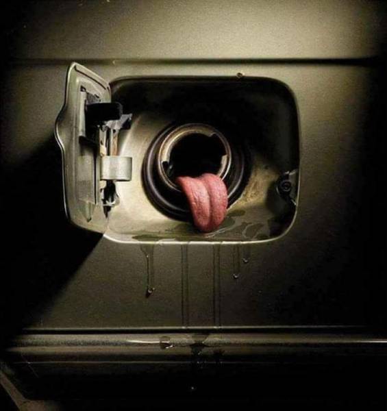 daily picdump 96 pics 10.html - 96 HD Photos | Premium Gallery 2017