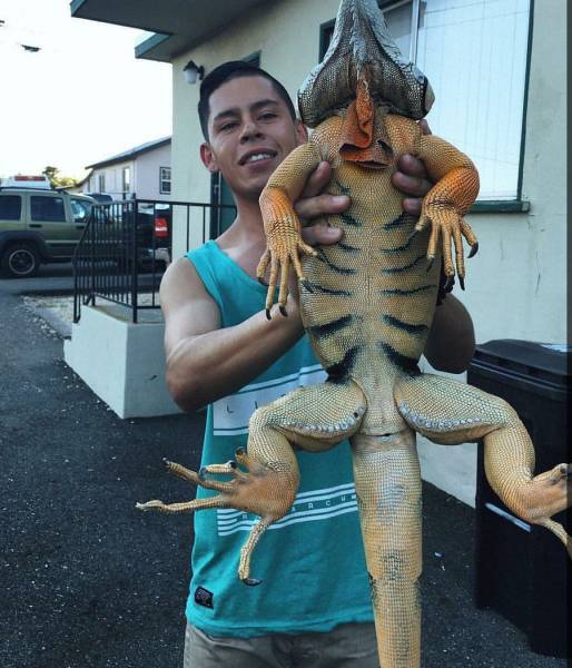 daily picdump 96 pics 10.html - 96 HD Photos | Premium Gallery 2017