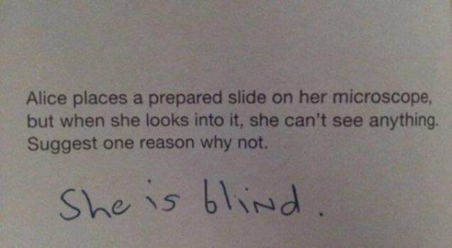 daily picdump 96 pics 10.html - 96 HD Photos | Premium Gallery 2017