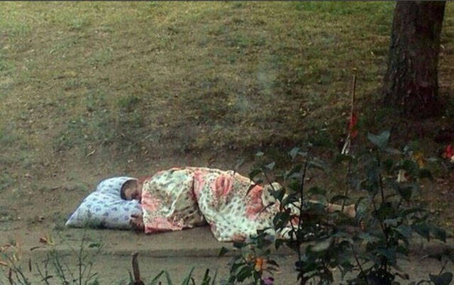 Morning Picdump