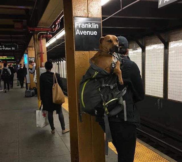 Morning Picdump