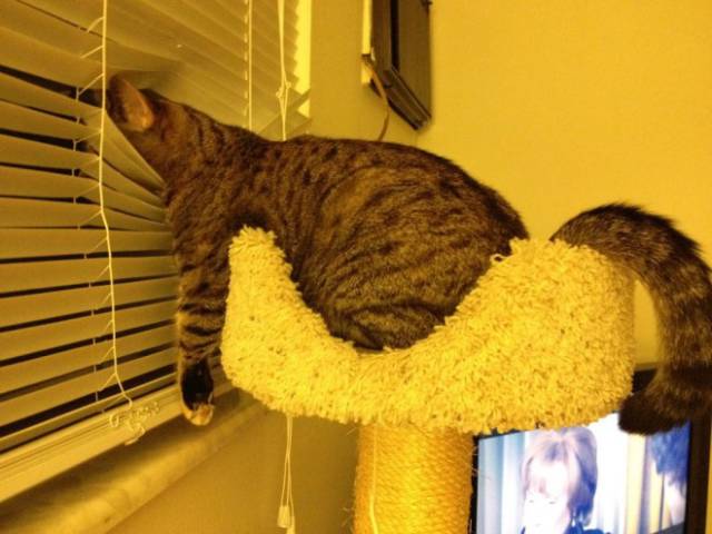 Morning Picdump