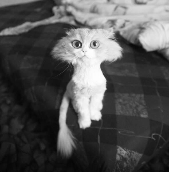 Morning Picdump